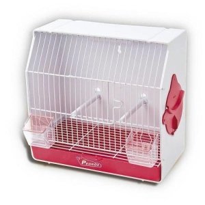 Jaula Concurso c.p Blanca - Pedrós